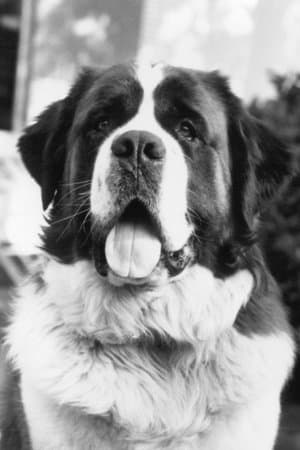 Beethoven