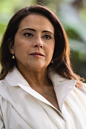 O Grande Mentecapto