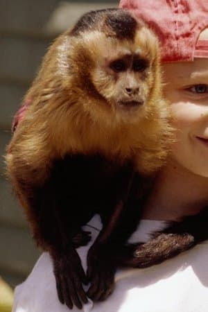 Monkey Trouble