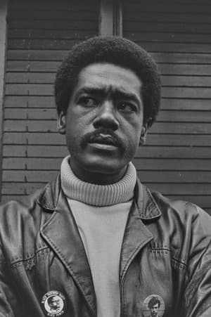 Black Panthers