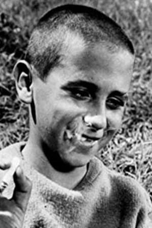 Chronicle of a Boy Alone