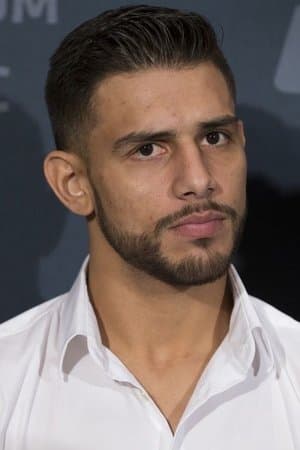 UFC 290: Volkanovski vs. Rodriguez