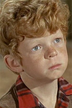 Tom Sawyer