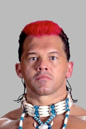 WWE King of the Ring 1995