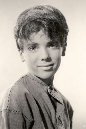 The Tin Star