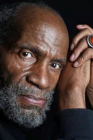 The Black Power Mixtape 1967-1975
