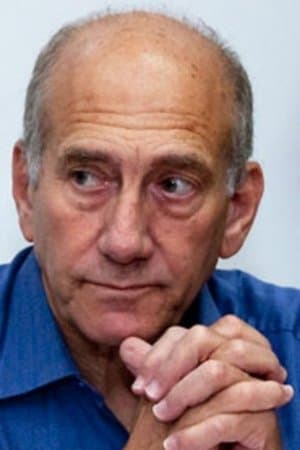 The Bibi Files