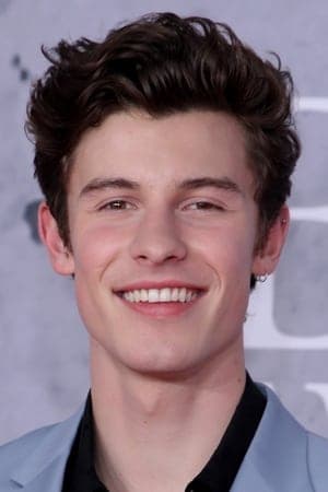 Shawn Mendes: In Wonder