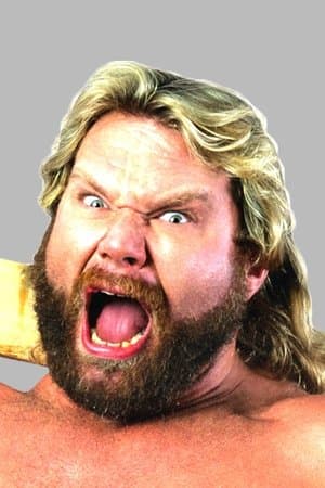 WWE Survivor Series 1990