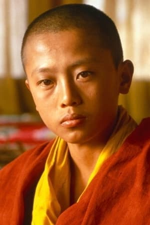 Seven Years in Tibet