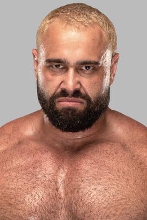 WWE Fastlane 2015