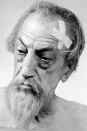Don Quixote
