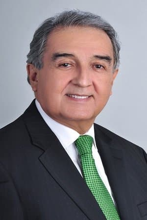 The Ambassador of India