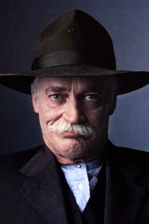 The Grey Fox