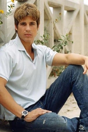 90210 Shark Attack