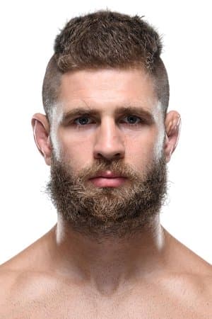 UFC 295: Prochazka vs. Pereira
