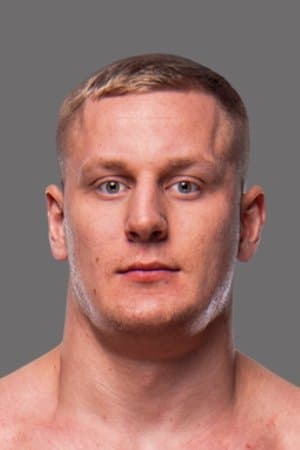 UFC 295: Prochazka vs. Pereira