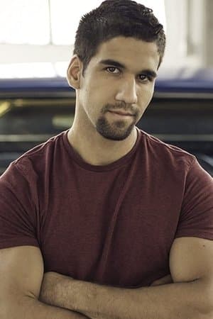 The Handyman