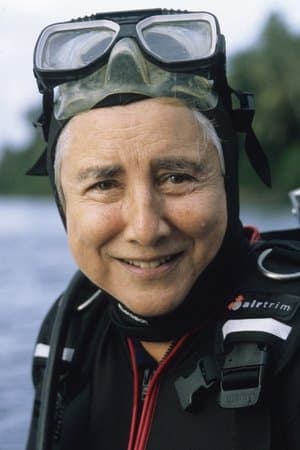 Search for the Great Sharks