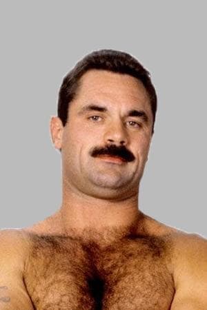 WWE SummerSlam 1990