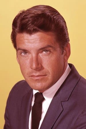 The Green Hornet