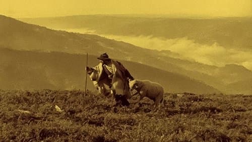 Os Lobos