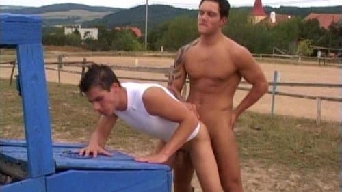 Horsing Around