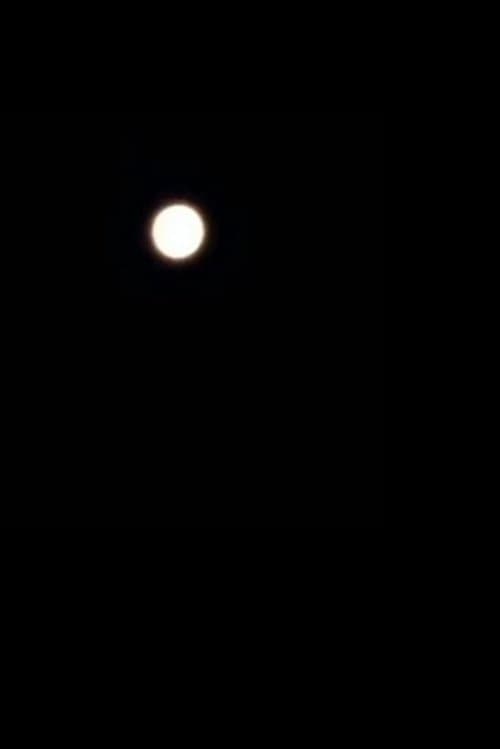 moooooon