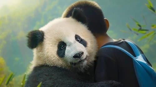 Moon The Panda