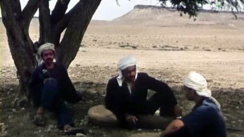 The Olive tree of Boul'hivet