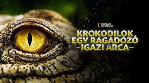 Crocodiles Revealed