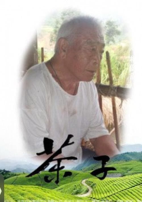 茶子