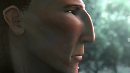 Anima