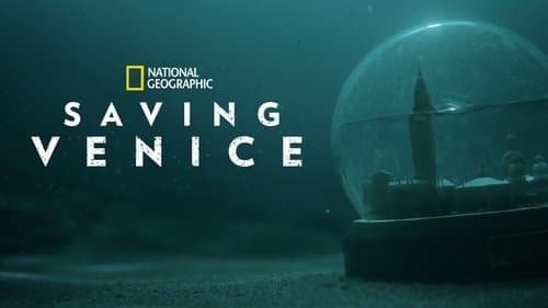 Saving Venice