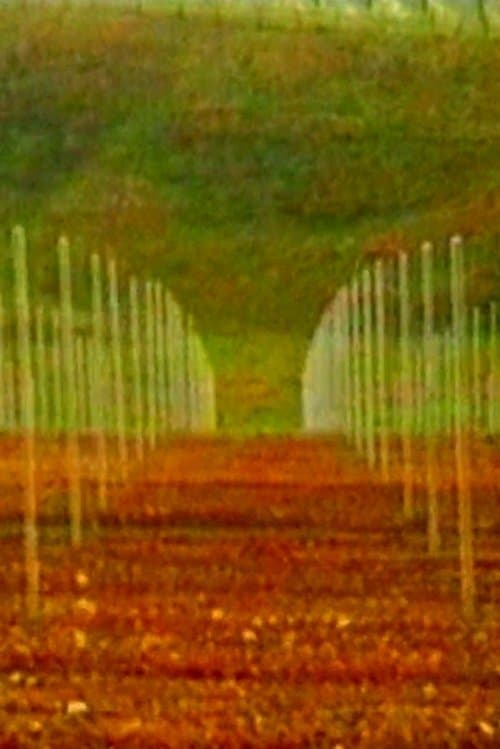 Vigneti
