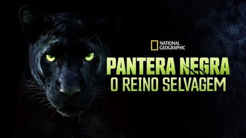 The Real Black Panther