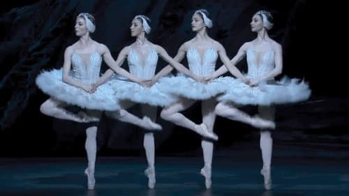 Swan Lake
