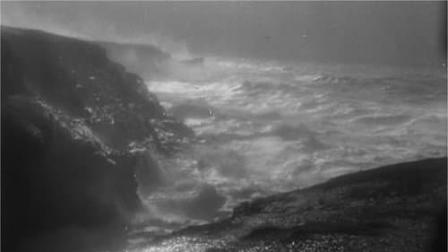 The Storm-Tamer