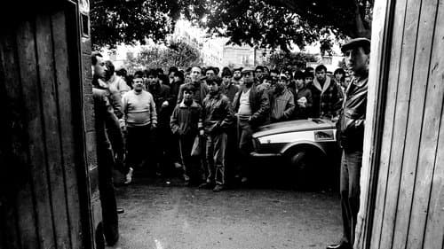 Shooting the Mafia