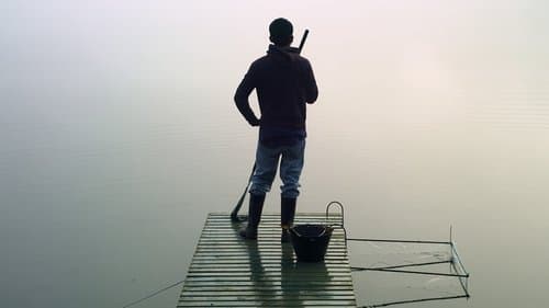 The Summer of Flying Fish