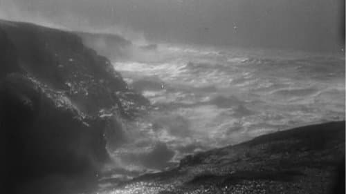 The Storm-Tamer