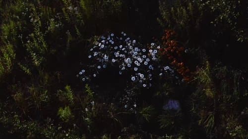 Wild Feast