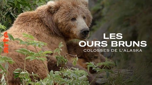 Alaska's Giant Bears