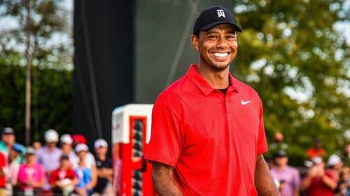 25 Years of Tiger