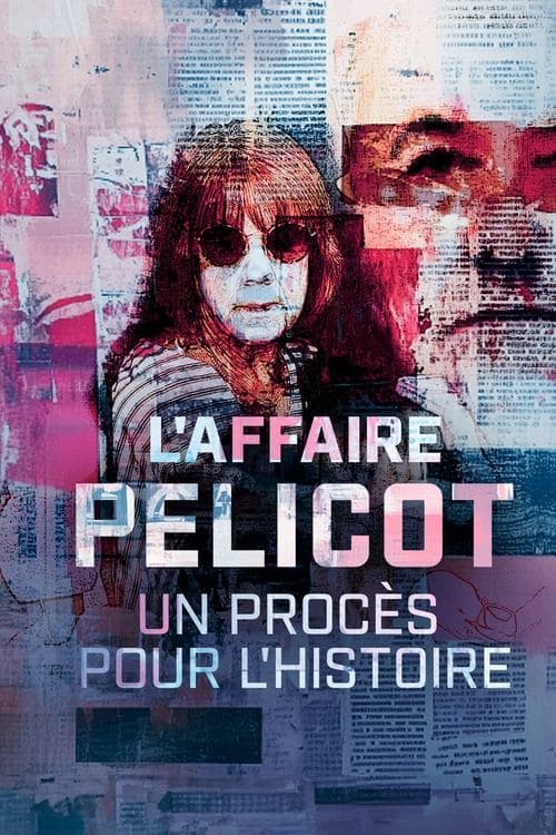 The Pelicot Rape Case