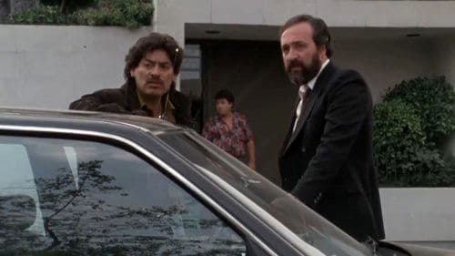Perros de la ley