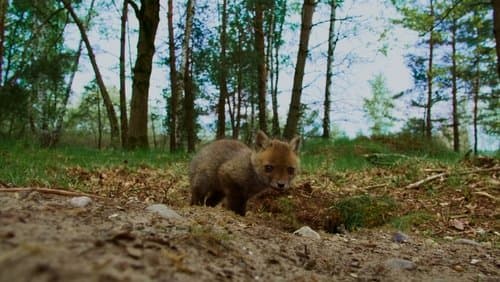 Our Nature, The Movie