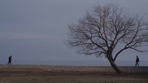 The Seagull