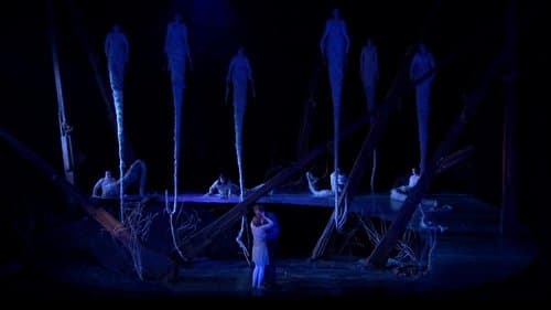Dvořák:  Rusalka