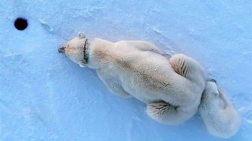 The Arctic: 66.5 Degrees North